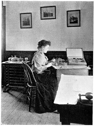 Preparing caterpillars for Mounting