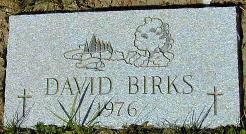 David Birks